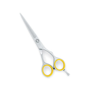Professional Hair Dressing & Barber Scissors